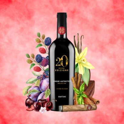 Fantini - Edizione 20 Cinque Autoctoni vino rosso 750ml.