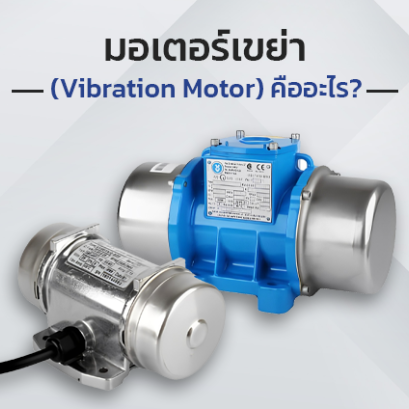 มอเตอร์เขย่า (Vibration Motor) คืออะไร?