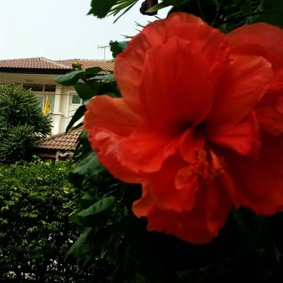 รีวิว จาก คุณโกมล ครับ