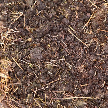 ดินขึ้นราไม่ต้องกังวลอีกต่อไป แค่มี3พาวเวอร์ ปลอดภัยไร้สารเคมี