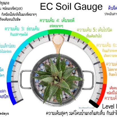 การใส่ปุ๋ย น้อยมาก อย่างไรดี ทำไมใส่ปุ๋ยเยอะๆถึงไม่ดีล่ะ? ใส่ปุ๋ยเยอะๆจะได้โตไวๆไง! จริงหรือ?