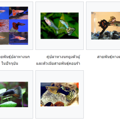 ..ชีววิธี... ในเมื่อฟ้าส่ง เพลี้ยกับโรคพืชมา ฟ้าก็ต้องส่งอะไรมาปราบปรามด้วย