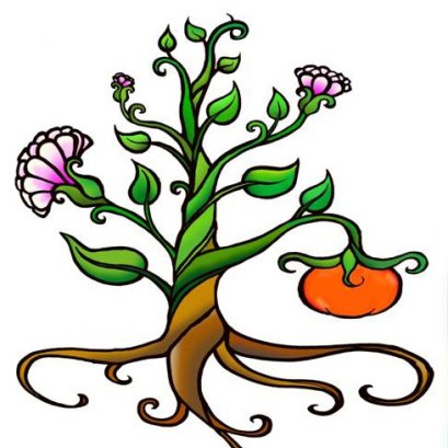 เกี่ยวกับเรา