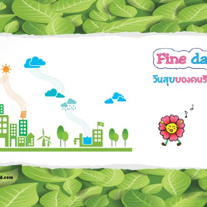 นโยบาย ข้อตกลง เงื่อนไขต่างๆ