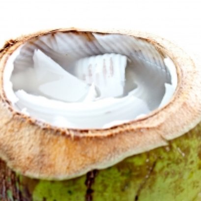 ขยายเชื้อจุลินทรีย์