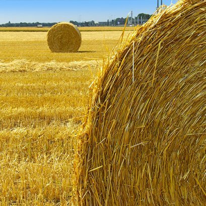 สินค้าที่มีส่วนประกอบจากธรรมชาติ = สินค้าออร์แกนิค?      