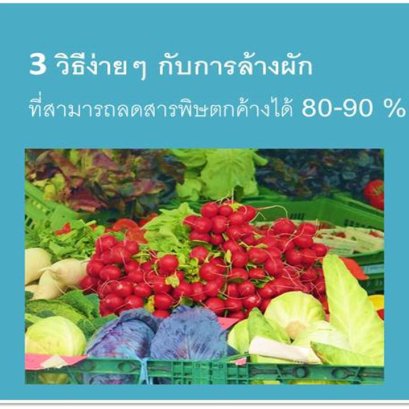 3 วิธีง่ายๆ กับการล้างผัก ที่สามารถลดสารพิษตกค้างได้ 80-90 %