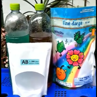 วิธีผสม สารละลายเอบี 2