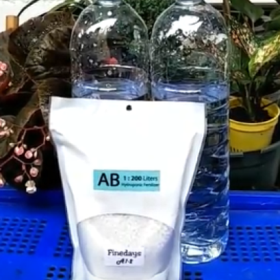 วิธีการทำแม่ปุ๋ยน้ำเอบี 