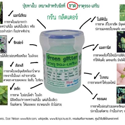 กรีน กลิตเตอร์ ตัวนี้มัน "แจ่มที่สุด" จริงๆน้า