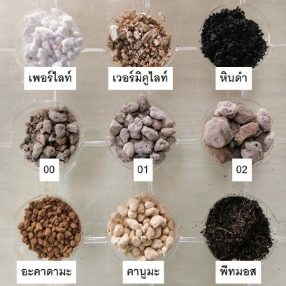 แนะนำเครื่องปลูก