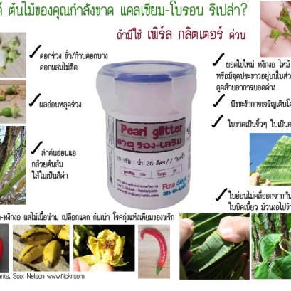 เพิร์ล กลิตเตอร์ ขาดไม่ได้เลยตัวนี้