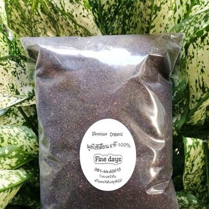 วิธีทำน้ำหมักมูลไส้เดือน