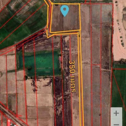 EHL - 212938 ขาย ที่ดินเปล่า ต.วังพิกุน อ.วังทอง จ.พิษณุโลก