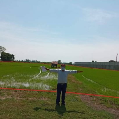 EHL - 212940 ขายที่ดินเปล่า ต.บางระกำ อ.บางระกำ จ.พิษณุโลก