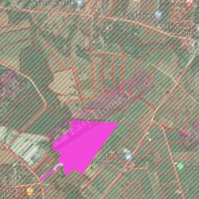 EHL - 213340  ที่ดิน ปากช่อง บุ่งเตย