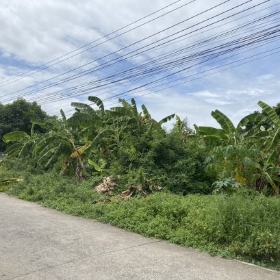 EHl-233692 ที่ดิน เพิ่มสิน 37(Permsin Land 37)