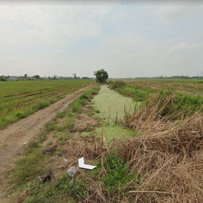EHl-233728 ที่ดินเปล่า ติดถนนรังสิต-นครนายก คลอง 8