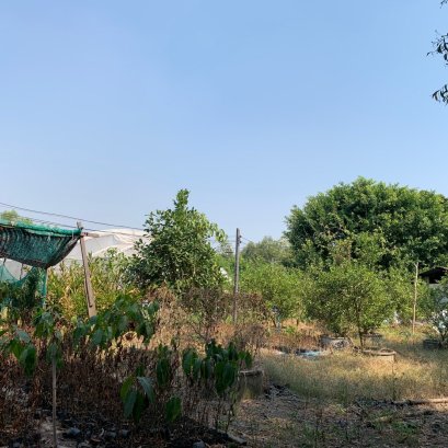 EHL-243983 ขายที่ดินธัญบุรี ปทุมธานี