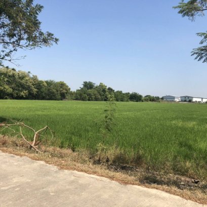 ขายที่ดินเปล่าสามโคก 11 - 0 - 12 ID - 202857