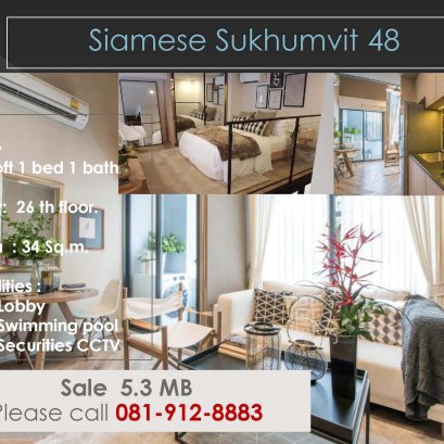 Siamese Sukhumvit 48 ID - 182094