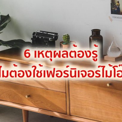 6 เหตุผลต้องรู้ ทำไมต้องใช้เฟอร์นิเจอร์ไม้โอ๊ค