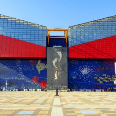 ปีใหม่ของชาวญุี่ปุ่น