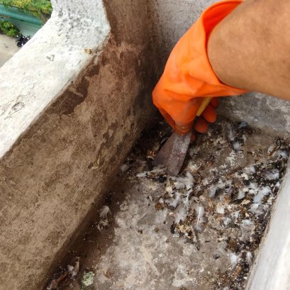 อันตราย! ที่ใกล้ตัว คลีนให้หมดงดแหล่งเพาะพันธุ์เชื้อโรค