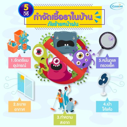5 วิธีกำจัดเชื้อราในภัยร้ายหน้าฝน