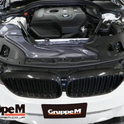 GruppeM BMW 530i G30 G31 2.0L Ram Air FRI-0351