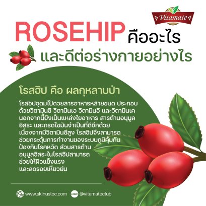 โรสฮิปคืออะไร และดีต่อร่างกายยังไง ??
