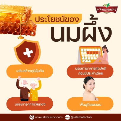 ประโยชน์ของนมผึ้ง ที่สาวๆรู้ไว้ไม่เสียหาย