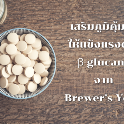 รู้จักบริวเวอร์ยีสต์ (Brewer’s Yeast)