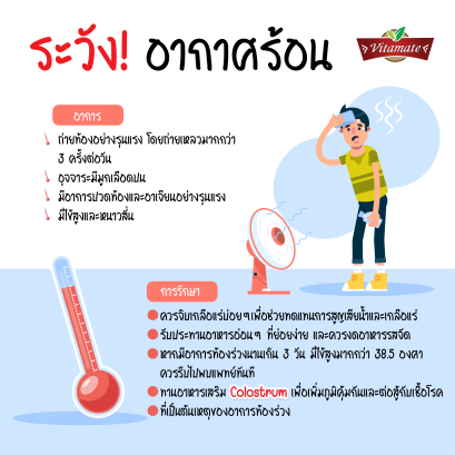 ระวัง! อากาศร้อนทำท้องร่วง ท้องเสียเสี่ยงเสียชีวิต