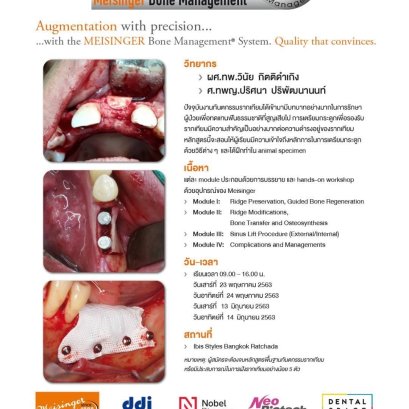 Meisinger Bone