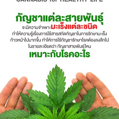 กัญชาแต่ละชนิดเหมาะกับแต่ละโรค