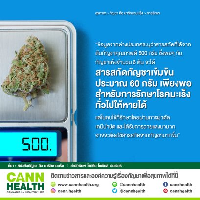 ความรู้จากสารสกัดเข้มข้นจากกัญชา