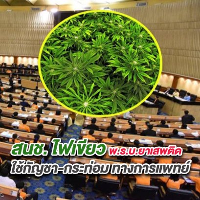 ​สนช. ไฟเขียว พ.ร.บ.ยาเสพติด ใช้กัญชา-กระท่อม ทางการแพทย์