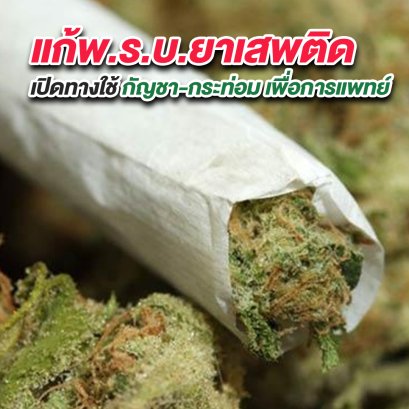 ครม.ไฟเขียว แก้พ.ร.บ.ยาเสพติด เปิดทางใช้ กัญชา-กระท่อม เพื่อการแพทย์