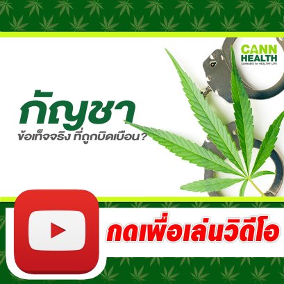 กัญชา....ข้อเท็จจริง ที่ถูกบิดเบือน ? | นพ.สมยศ กิตติมั่นคง | รู้จักกับกัญชา | CANNHEALTH