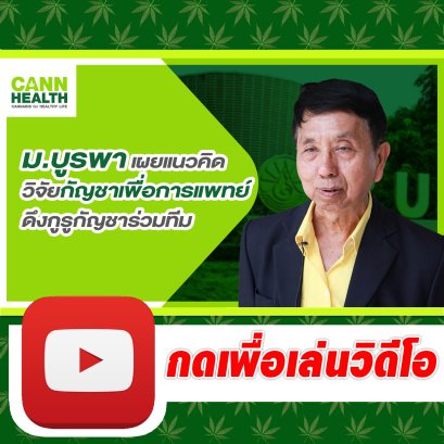 ม.บูรพา เผยแนวคิดวิจัยกัญชาเพื่อการแพทย์ ดึงกูรูกัญชาร่วมทีม | CANNHEALTH