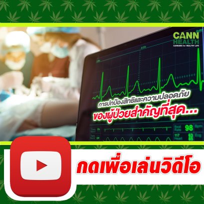 การปกป้องสิทธิและความปลอดภัยของผู้ป่วยสำคัญที่สุด... | ข่าวสารกัญชาทางการแแพทย์ | CANNHEALTH