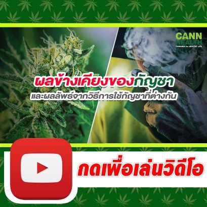 ผลข้างเคียงของกัญชา และ ผลลัพธ์จากวิธีการใช้กัญชาที่ต่างกัน | นพ.สมยศ กิตติมั่นคง | CANNHEALTH