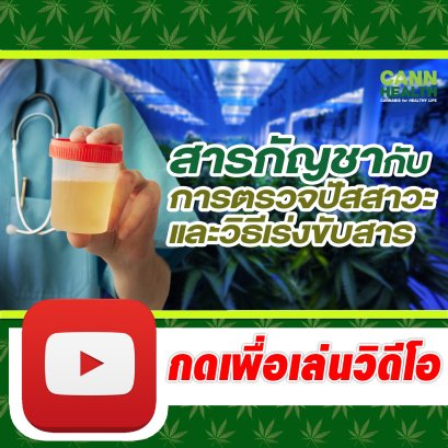 สารกัญชากับการตรวจปัสสาวะ และ วิธีเร่งขับสาร | นพ.สมยศ กิตติมั่นคง | รู้จักกับกัญชา | CANNHEALTH