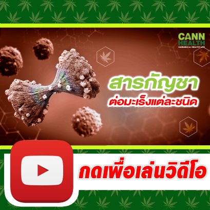 สารกัญชาต่อมะเร็งแต่ละชนิด | นพ.สมยศ กิตติมั่นคง | รักษาโรคด้วยกัญชา | CANNHEALTH