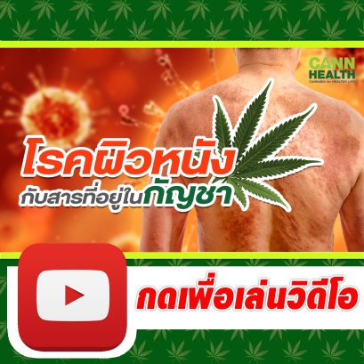 โรคผิวหนังกับสารที่อยู่ในกัญชา | นพ.สมยศ กิตติมั่นคง | รักษาโรคด้วยกัญชา | CANNHEALTH