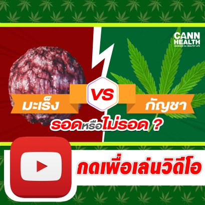 มะเร็ง vs กัญชา รอดหรือไม่รอด ? | นพ.สมยศ กิตติมั่นคง | รักษาโรคด้วยกัญชา | CANNHEALTH