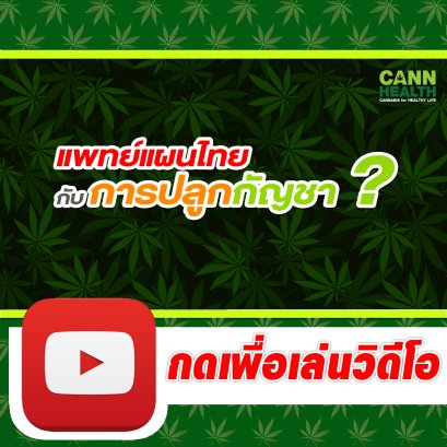 แพทย์แผนไทย กับการปลูก - ทำผลิตภัณฑ์จากกัญชา | นพ.สมยศ กิตติมั่นคง | CANNHEALTH