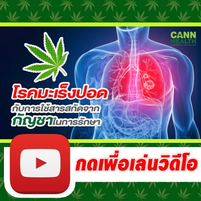 มะเร็งปอด กับการใช้สารสกัดจากกัญชา | นพ.สมยศ กิตติมั่นคง | รักษาโรคด้วยกัญชา | CANNHEALTH