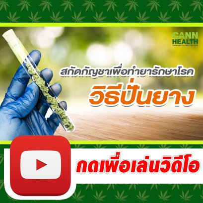 สกัดกัญชาทำยารักษาโรค [วิธีปั่นยาง] | นพ.สมยศ กิตติมั่นคง | เทคนิคการจัดการกัญชา | CANNHEALTH